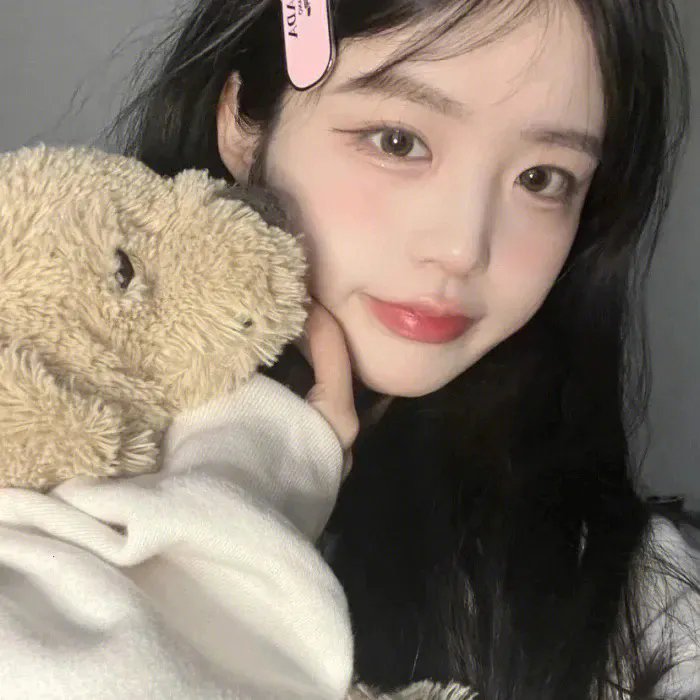 美洲狮公司