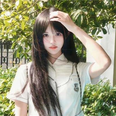 玫瑰丛生